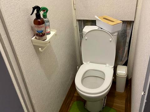 квартира по адресу Лесной просп., 41