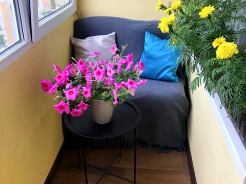 квартира по адресу Академика Сахарова ул., 56