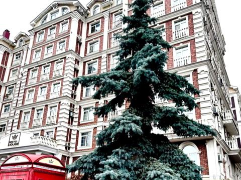 квартира за адресою Луценка, 14-А