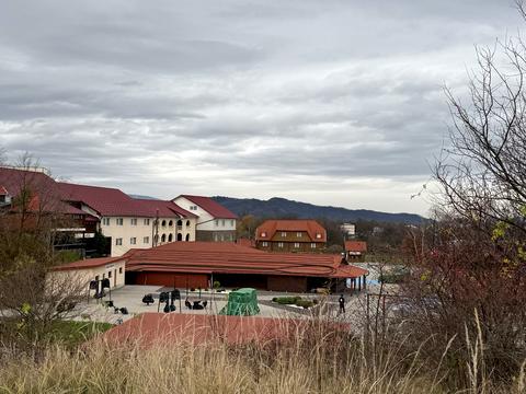 ділянка за адресою Озерна, 1