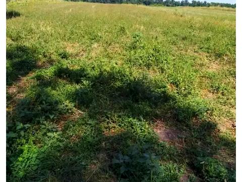 ділянка за адресою Будівельників