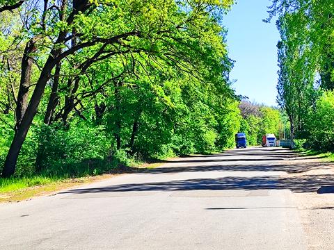 квартира за адресою Лісова вул., 26