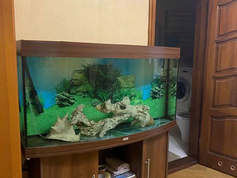 квартира по адресу Радунская ул., 9-Б