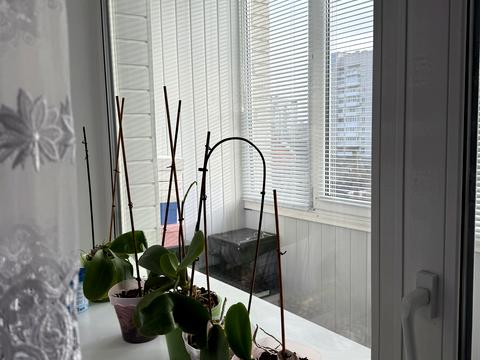 квартира за адресою Наскрізний пров., 14