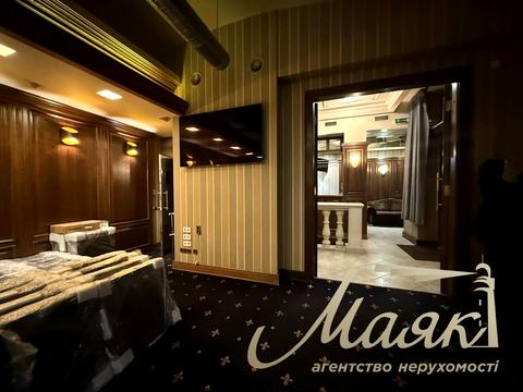 комерційна за адресою Панаса Мирного вул., 10