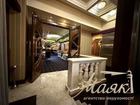 комерційна за адресою Панаса Мирного вул., 10