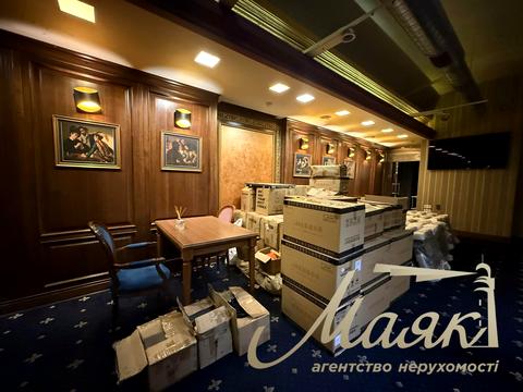 комерційна за адресою Панаса Мирного вул., 10