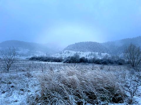 ділянка за адресою с. Довге, 