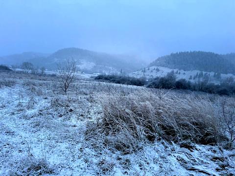 ділянка за адресою с. Довге, 