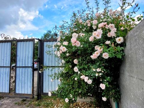 дом по адресу Ковельська