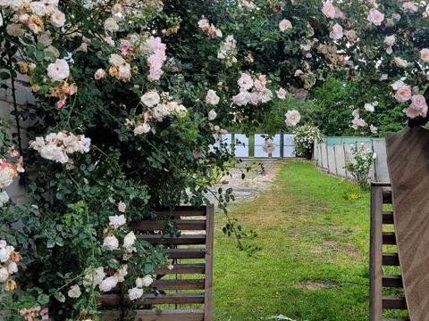 дом по адресу Ковельська