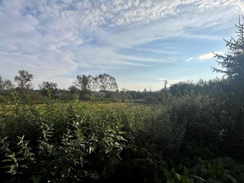 ділянка за адресою Бібрка, галицька