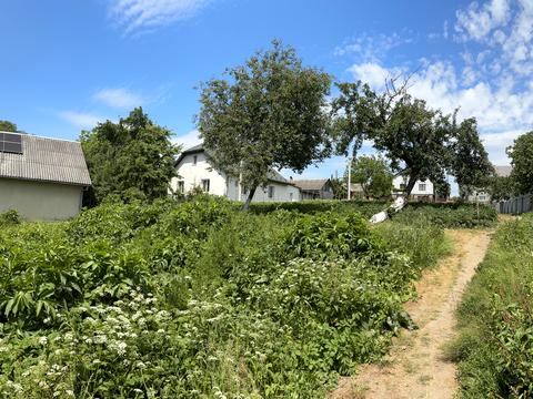 будинок за адресою с. Загір'я, Шевченка