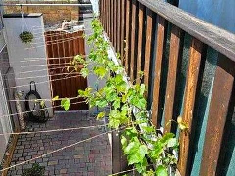 будинок за адресою Одеса, Слобідська вул., 10/1