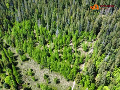 участок по адресу Урочище Слави
