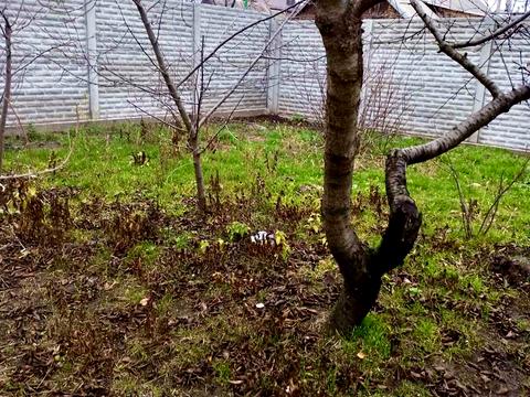 будинок за адресою Марії Заньковецької вул., 9