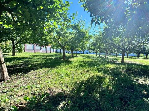 ділянка за адресою Прикордонників вул., 19