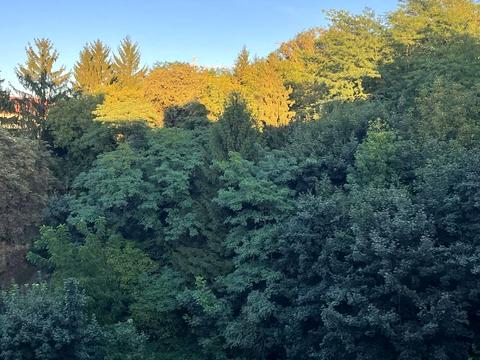 квартира по адресу Бойковская ул., 1