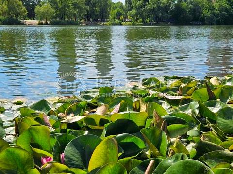 квартира за адресою Юрія Шумського вул., 1