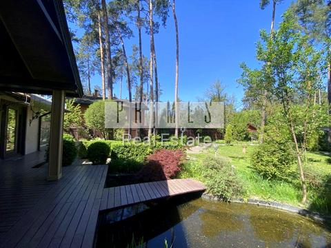 дом по адресу Плютовская ул.