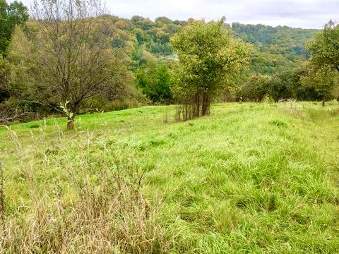 ділянка за адресою 