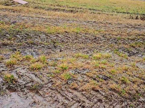 ділянка за адресою Вінницьке шосе