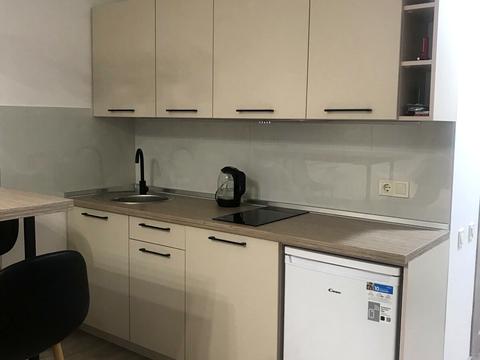 квартира по адресу Дача Ковалевского ул., 91