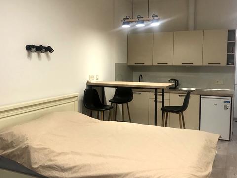 квартира по адресу Дача Ковалевского ул., 91