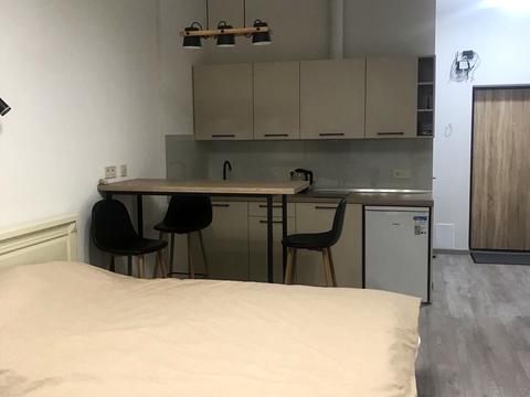 квартира по адресу Дача Ковалевского ул., 91