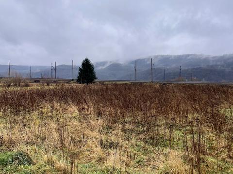 участок по адресу с. Нижнее Синевидное, Леси Украинки ул.