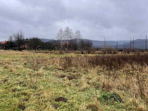 участок по адресу с. Нижнее Синевидное, Леси Украинки ул.
