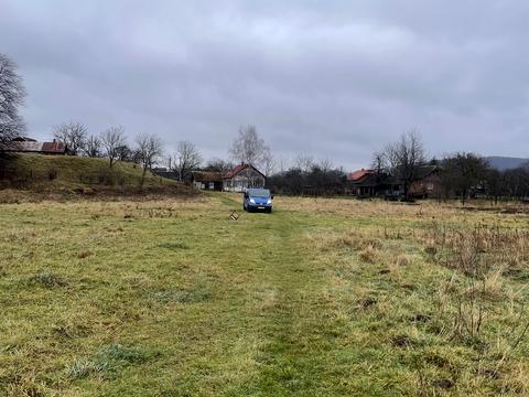 участок по адресу с. Нижнее Синевидное, Леси Украинки ул.
