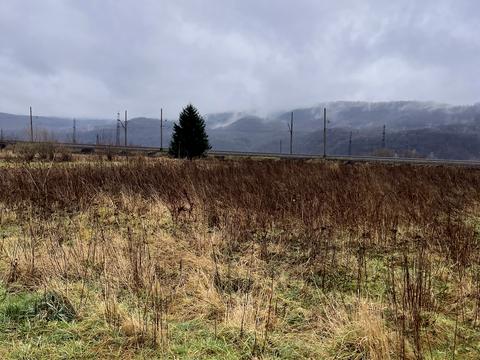 участок по адресу Леси Украинки ул.