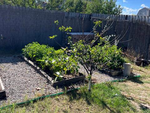 будинок за адресою Самар (Новомосковськ), Сонячна