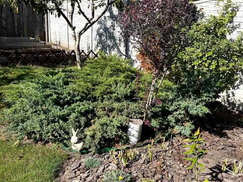 будинок за адресою Самар (Новомосковськ), Сонячна