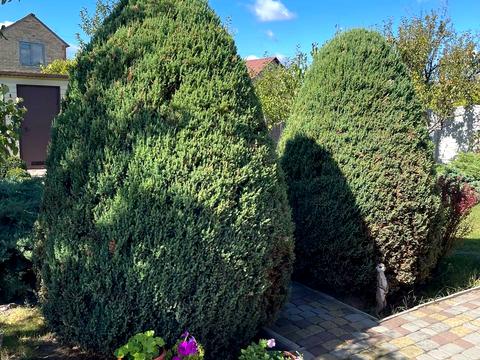 будинок за адресою Самар (Новомосковськ), Сонячна