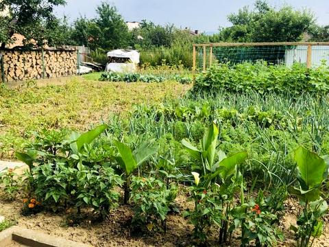 дом по адресу Стародоманинська ул.