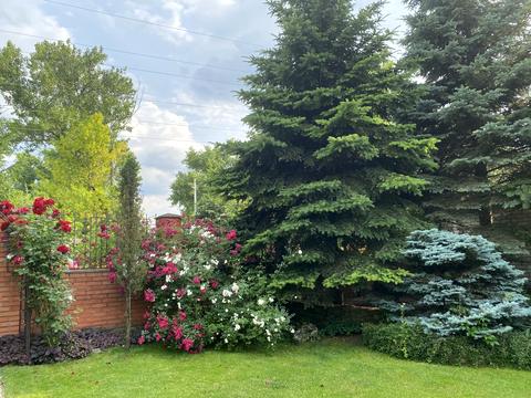 будинок за адресою Тополина