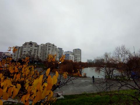 квартира за адресою Драгоманова вул., 31-Б