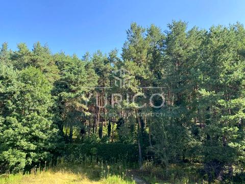 будинок за адресою Центральна вул. (Пролетарська)