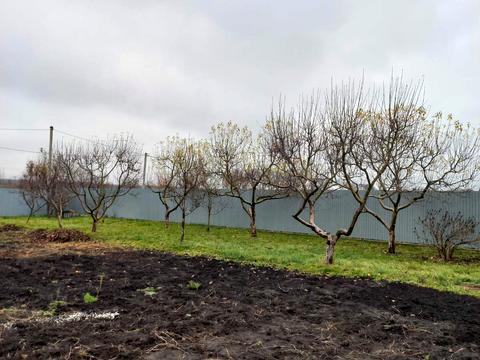 будинок за адресою Молодіжна, 40/3