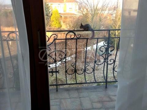 будинок за адресою Центральна вул.