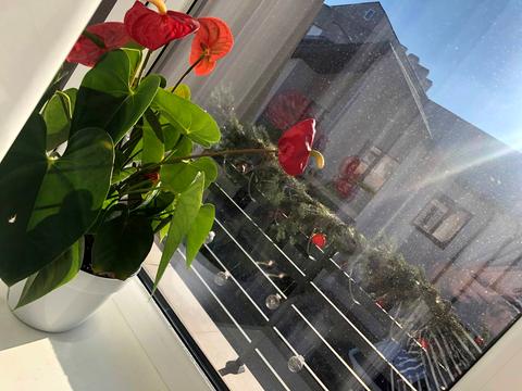 будинок за адресою с. Лиманка, Центральна вул., 1а