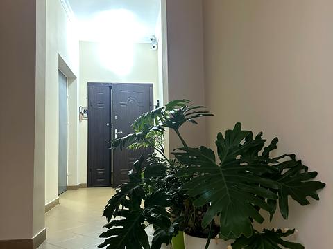 квартира за адресою Євгена Коновальця вул. (Щорса), 36-В