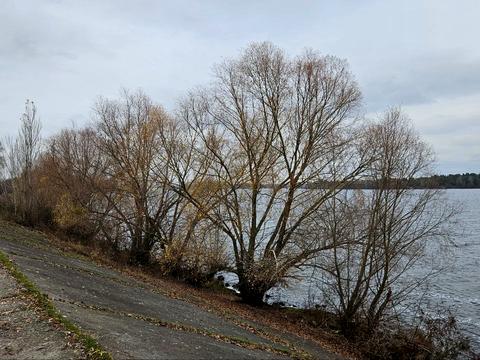 будинок за адресою Дунайська