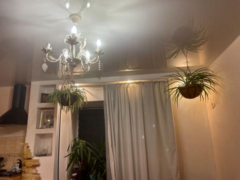 квартира за адресою Бабкіна пров., 12