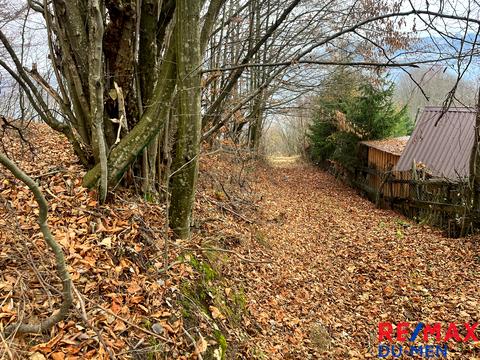 будинок за адресою гора Лиса