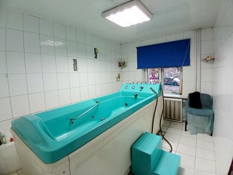 комерційна за адресою Братства Тарасівців вул. (Декабристів), 12/37