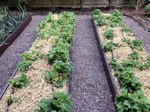 будинок за адресою Богатирська вул.