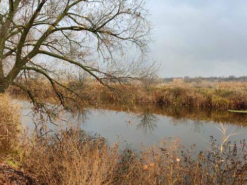 будинок за адресою с. Телешівка, Набережна